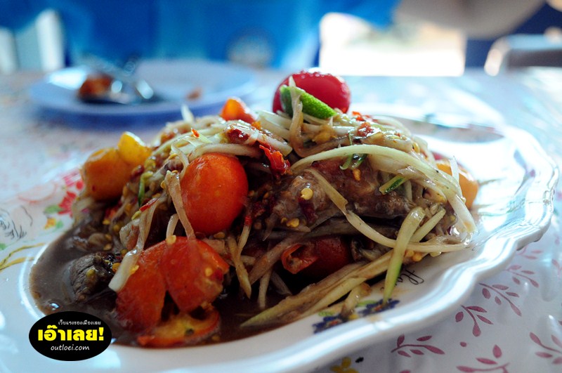 ส้มตำเมืองเลย ป้าติ้ง ปลาร้าต่วงคัก